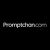 Promptchan NSFW Video Generator