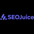 SEO Juice